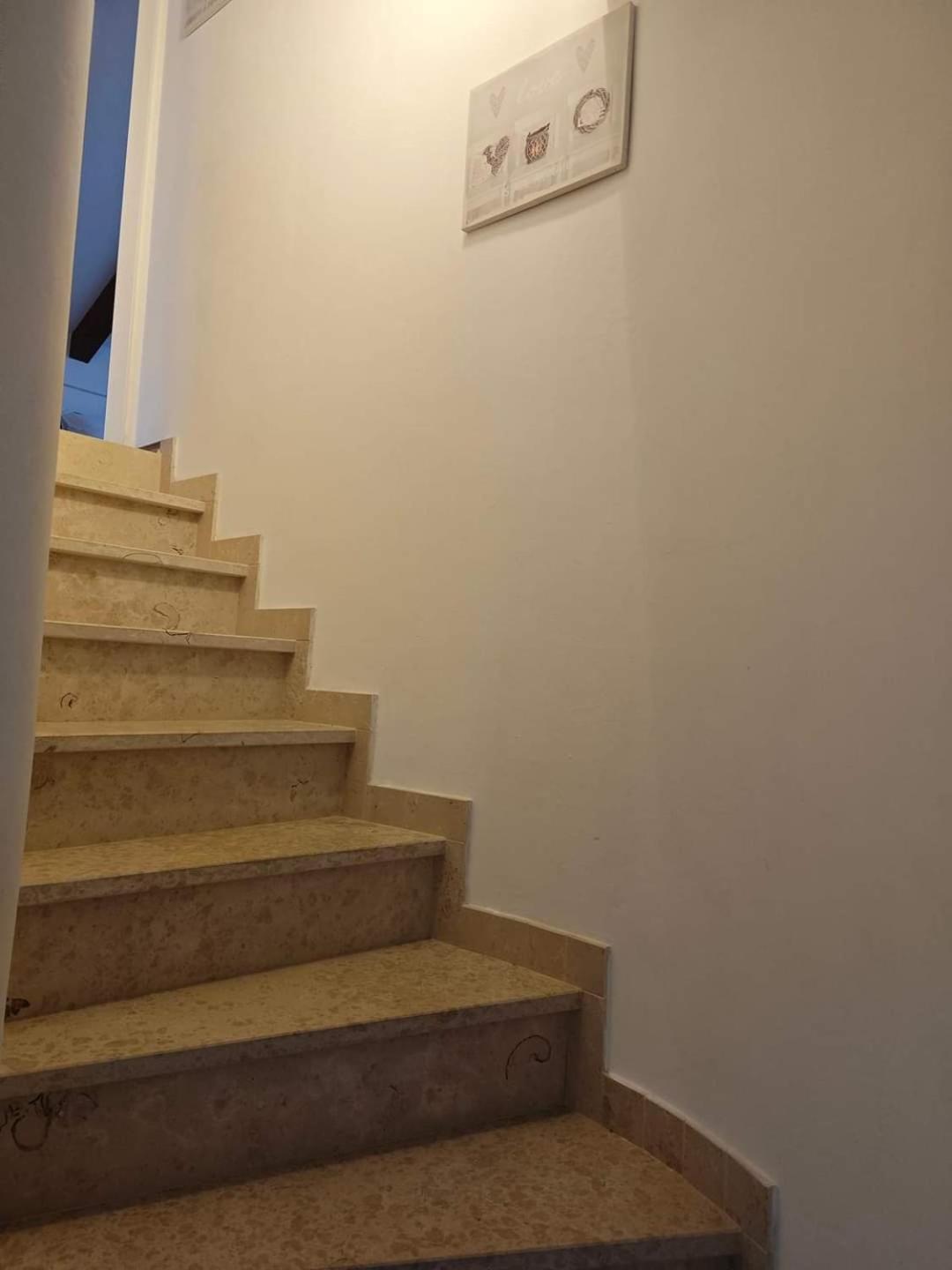 Apartment Arta Vodice Dış mekan fotoğraf