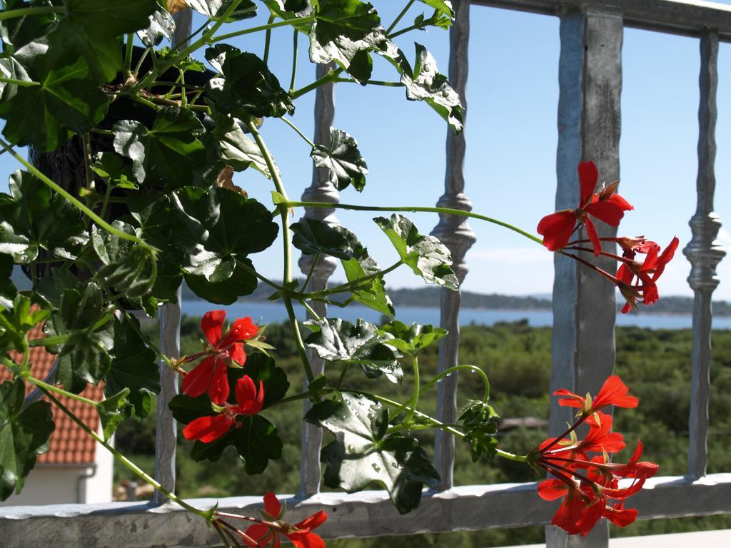 Apartment Arta Vodice Dış mekan fotoğraf