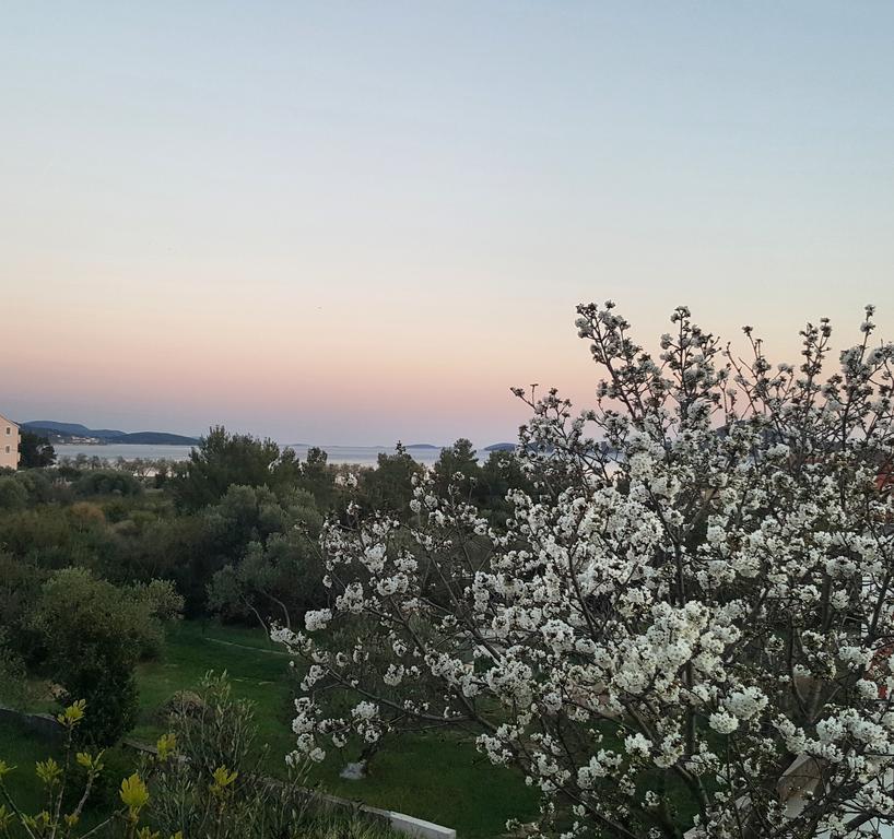 Apartment Arta Vodice Dış mekan fotoğraf