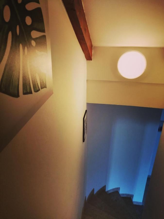 Apartment Arta Vodice Dış mekan fotoğraf